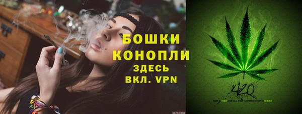 трава Фёдоровский
