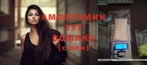 крисы Нестеровская