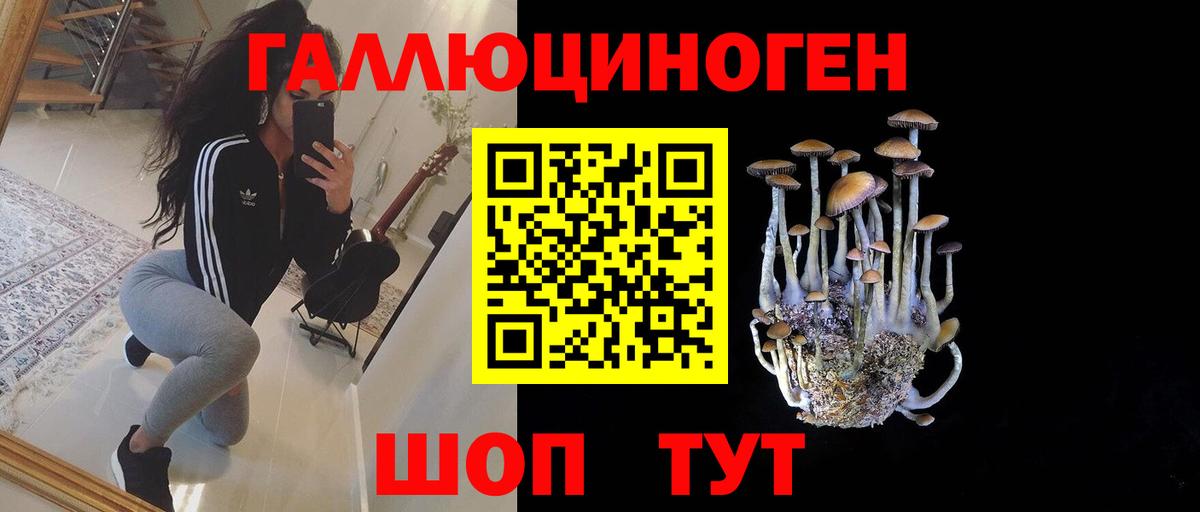 Галлюциногенные грибы Psilocybine cubensis  Вход с VPN  Усть-Илимск 